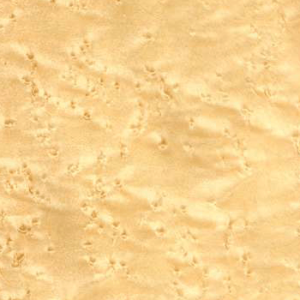 Birdseye Maple